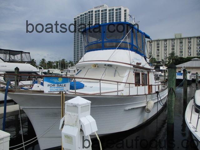 Albin Trawler avis et fiche technique 