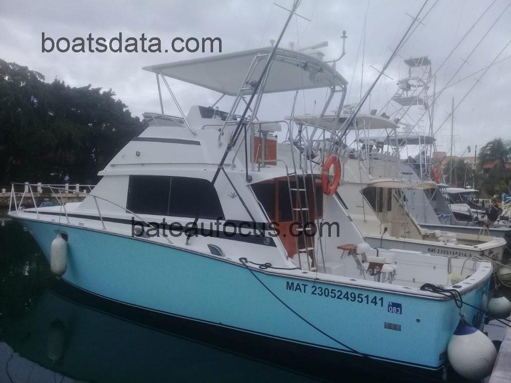 Bertram 38 Convertible avis et fiche technique