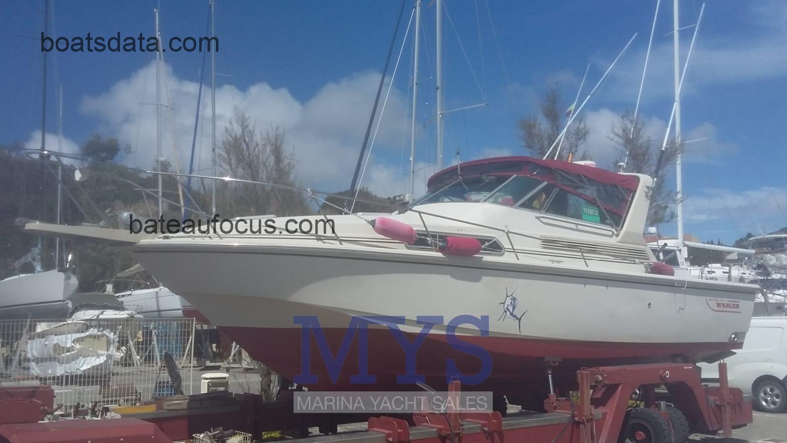 Boston Whaler 31 avis et fiche technique