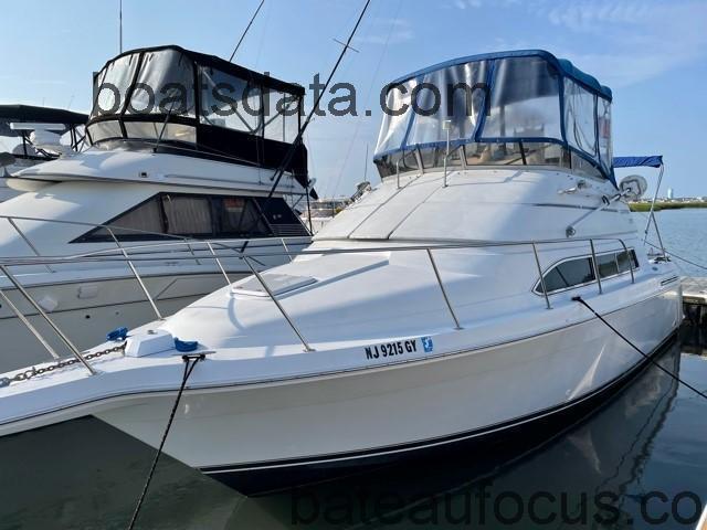 Carver 310 Santego avis et fiche technique 