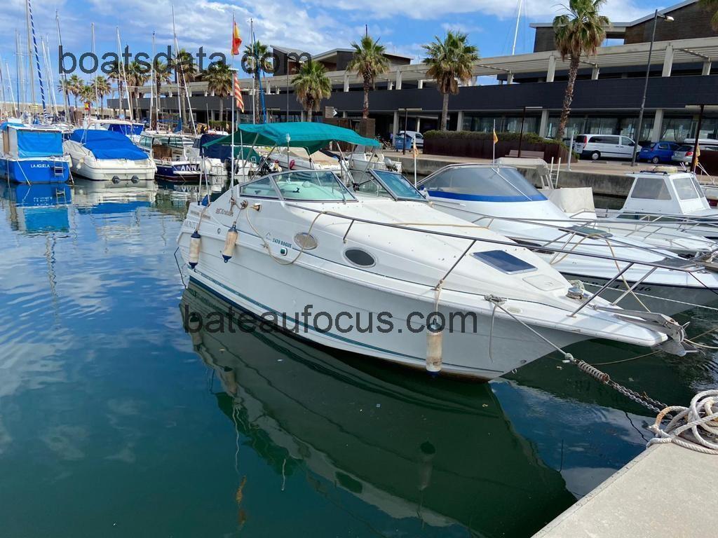 Cruisers Rogue avis et fiche technique 