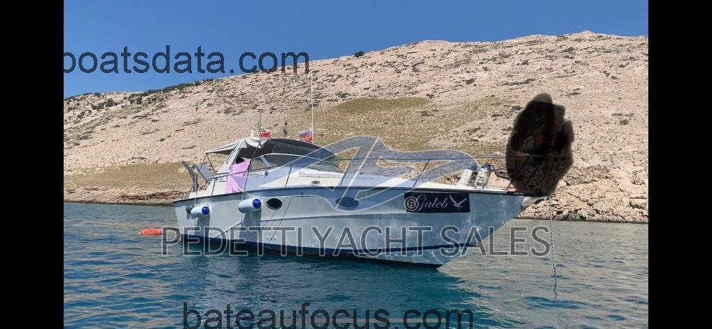 Fiart Aster 31 avis et fiche technique 