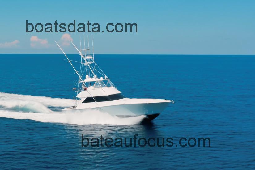 Viking 55 Convertible fiche technique et avis