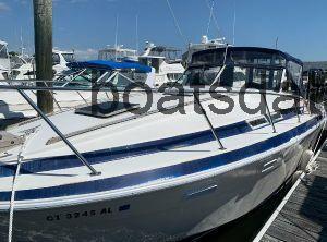 Wellcraft Suncruiser 310 avis et fiche technique 